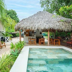 Antema Lodge Secteur Tamarindo, Piscine, Yoga, Gym, Jungle Et Paix